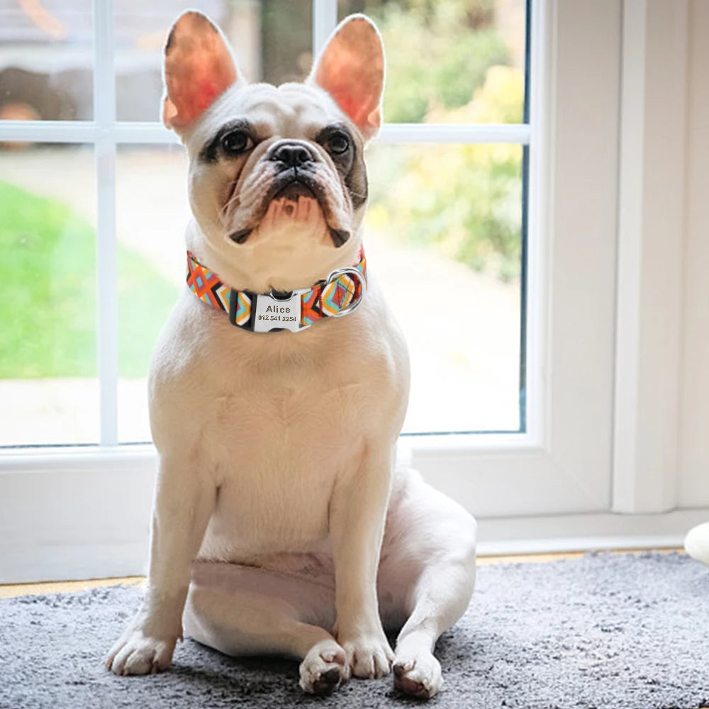 Nylon Collar