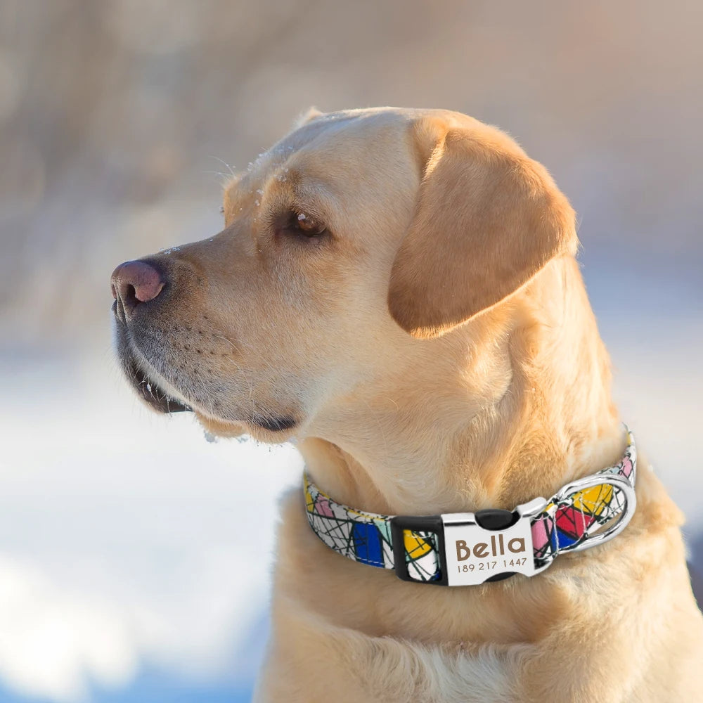 Nylon Collar