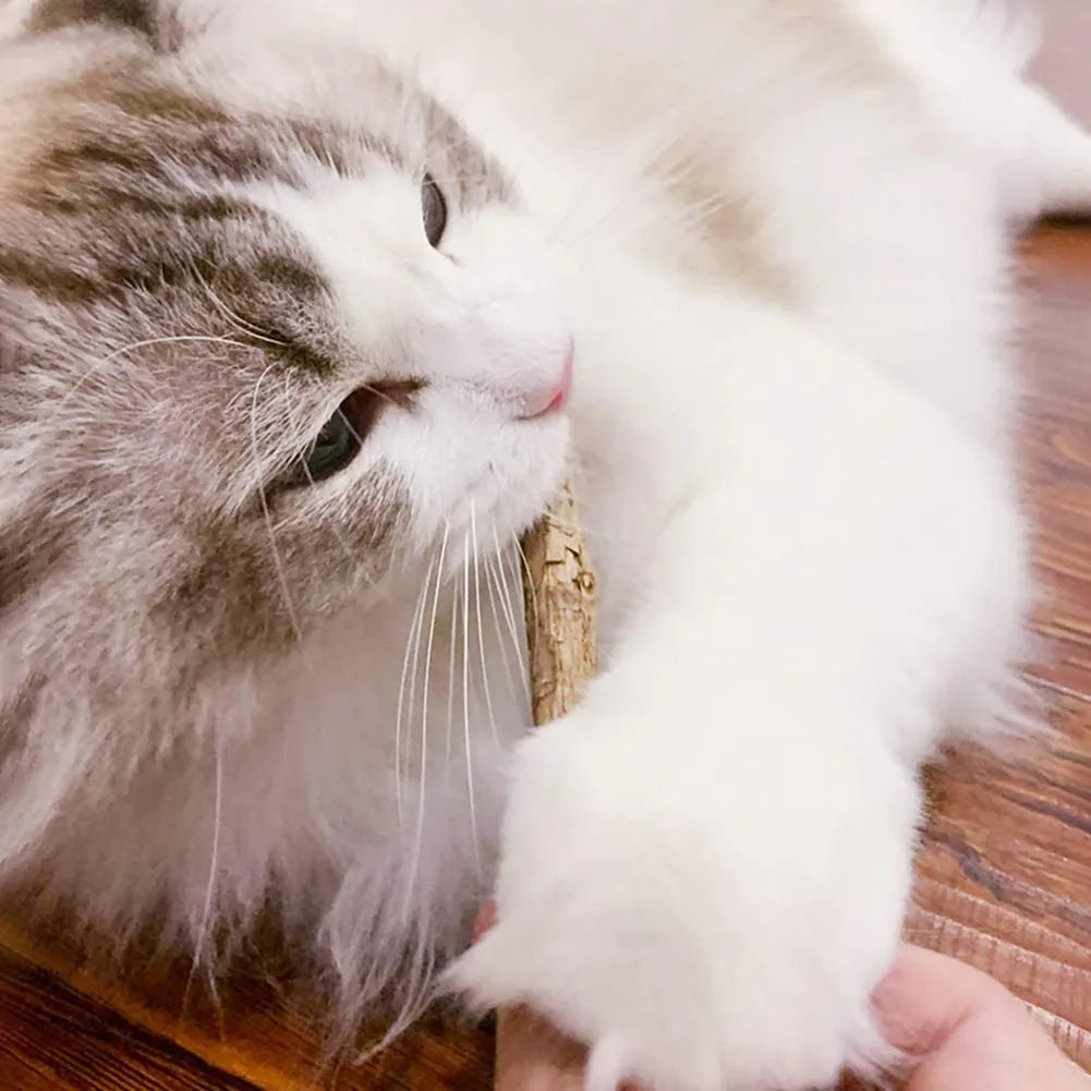 Catnip Sticks