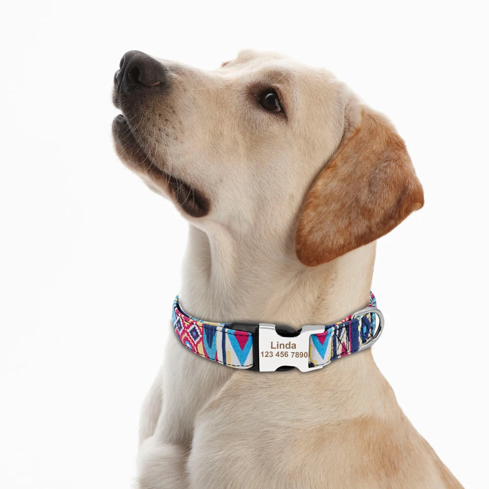 Nylon Collar
