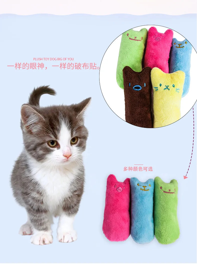 Catnip Toys