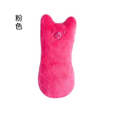 Catnip Toys