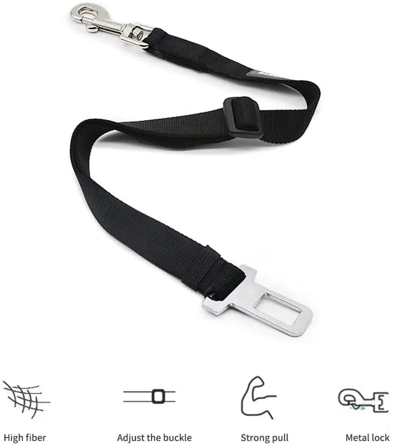 Car Seat Belt