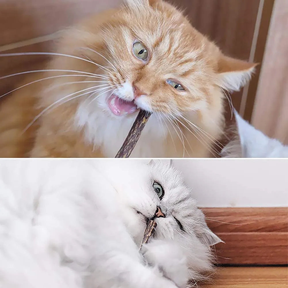 Catnip Sticks