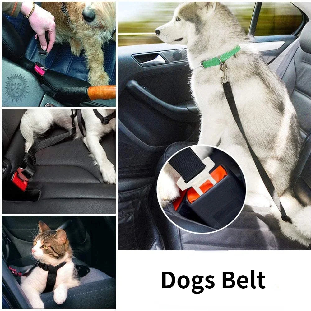 Car Seat Belt