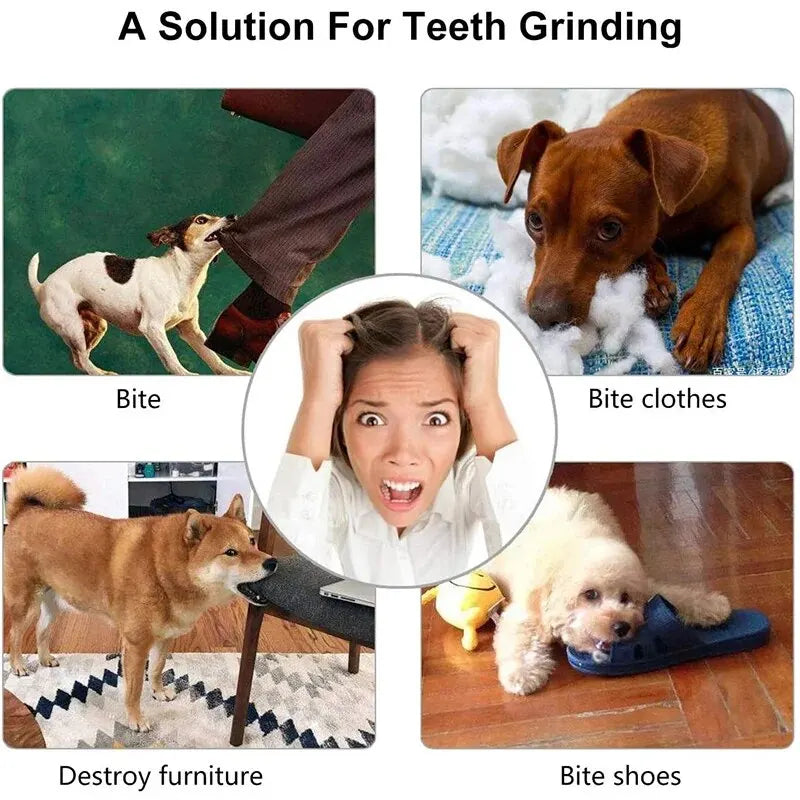 Dog Ball