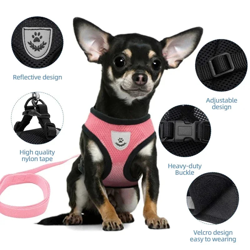 Cat Harness