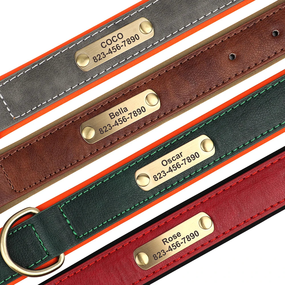 Engraved Collar