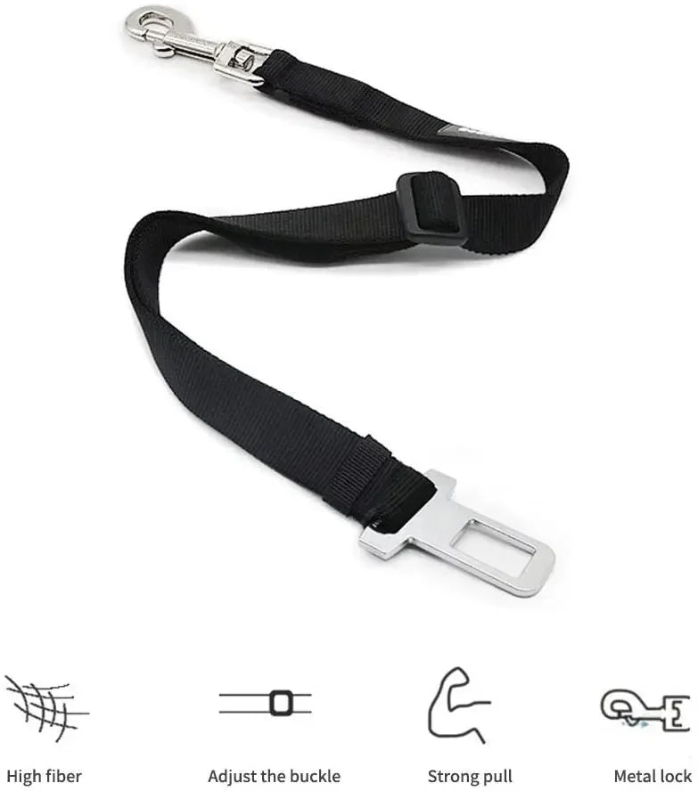 Car Seat Belt
