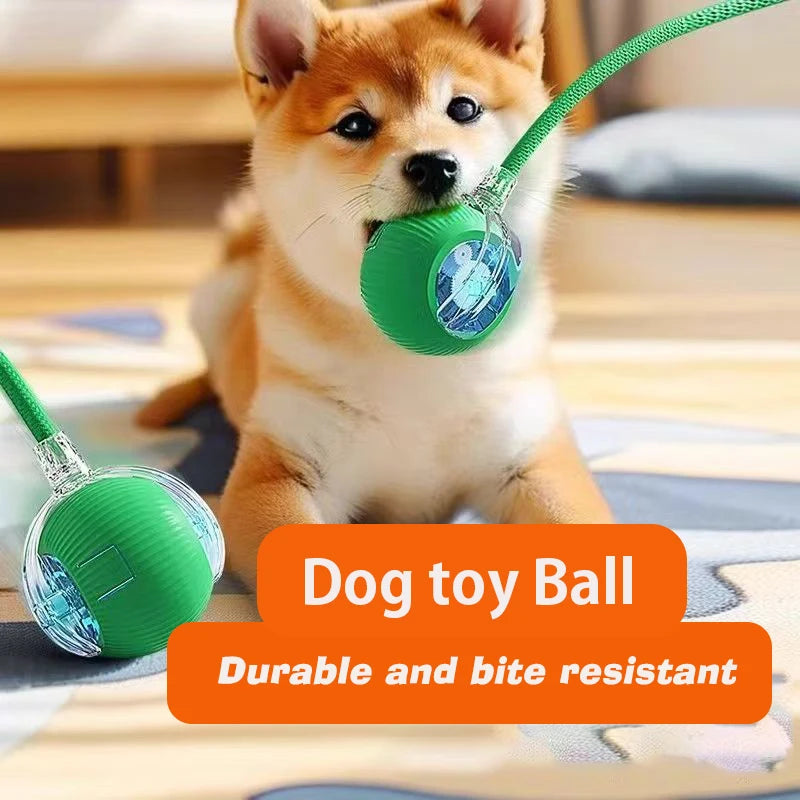 Robot Ball
