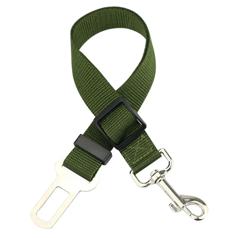 Car Seat Belt