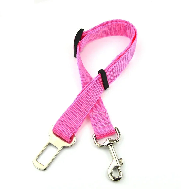 Car Seat Belt