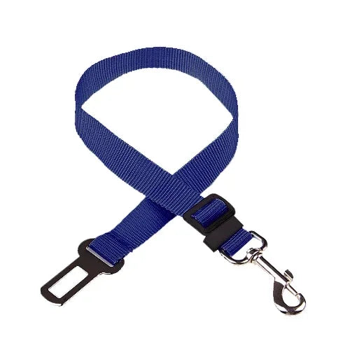 Car Seat Belt