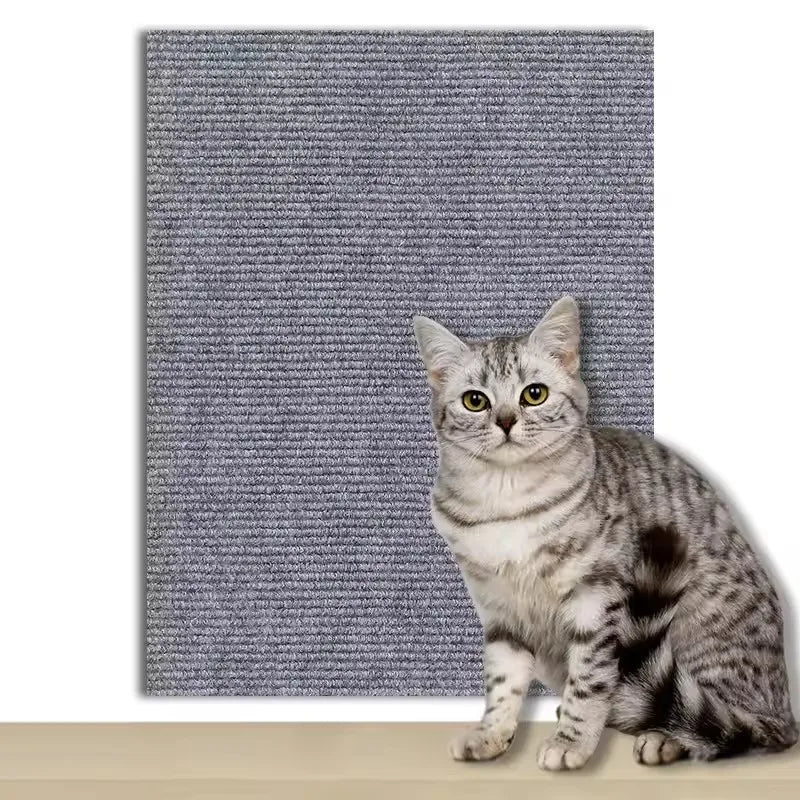 Cat Scratcher