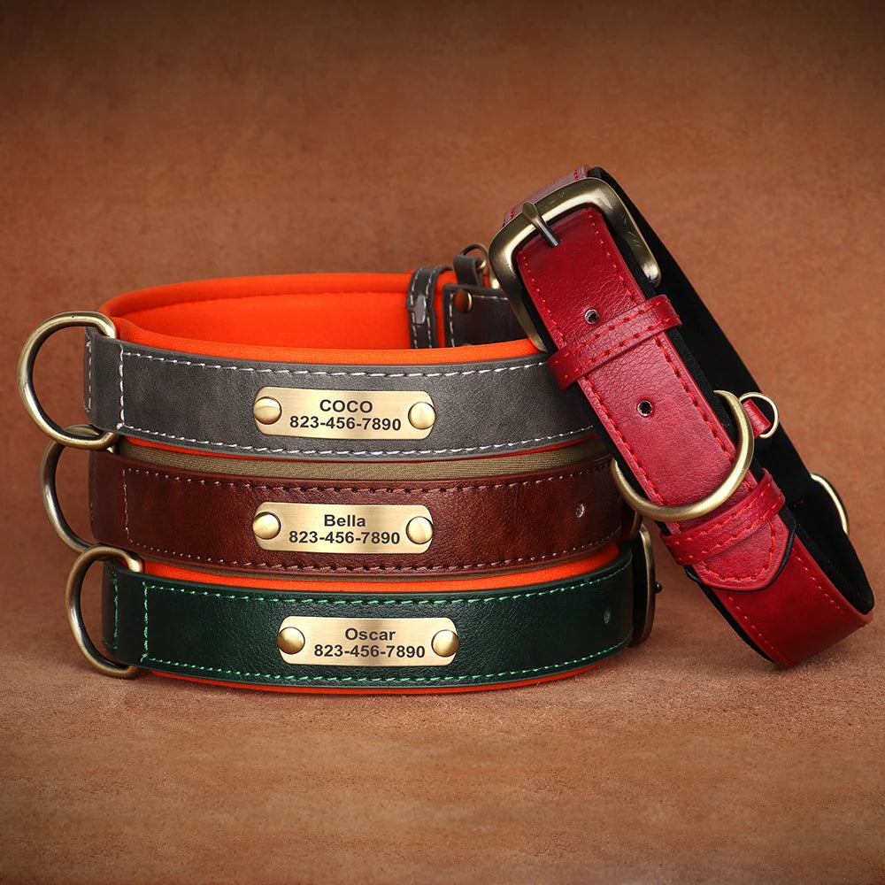Engraved Collar