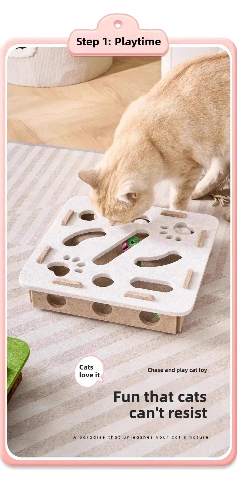 Cat Puzzle