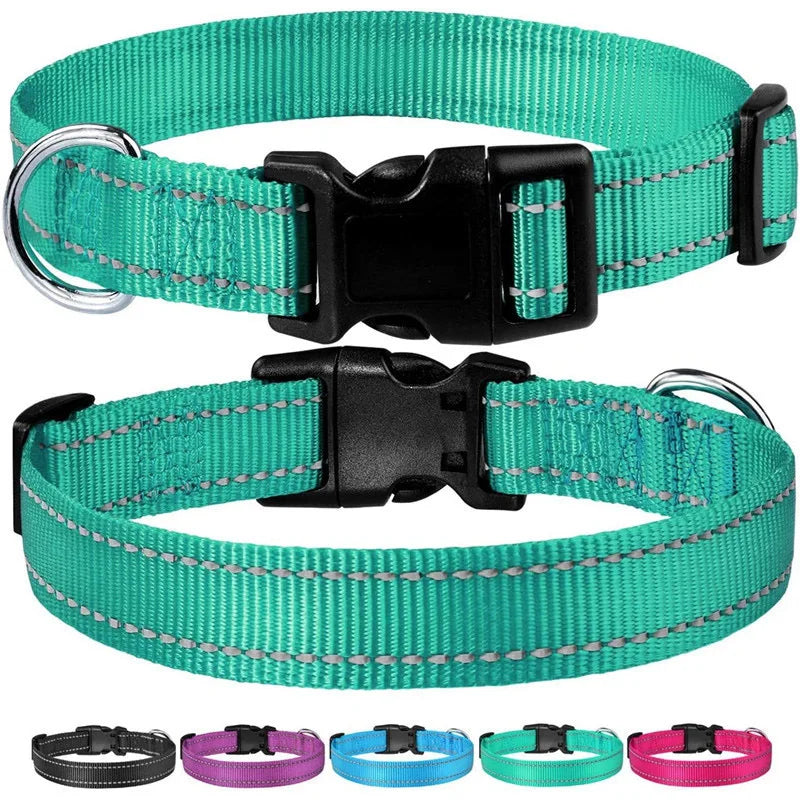 Dog Collar