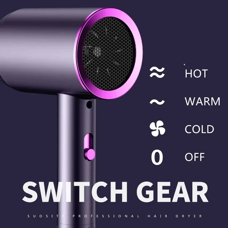 Pet Dryer