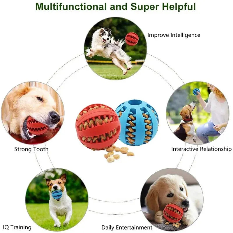 Dog Ball