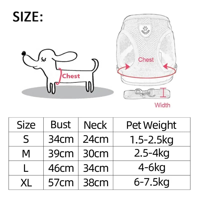 Cat Harness