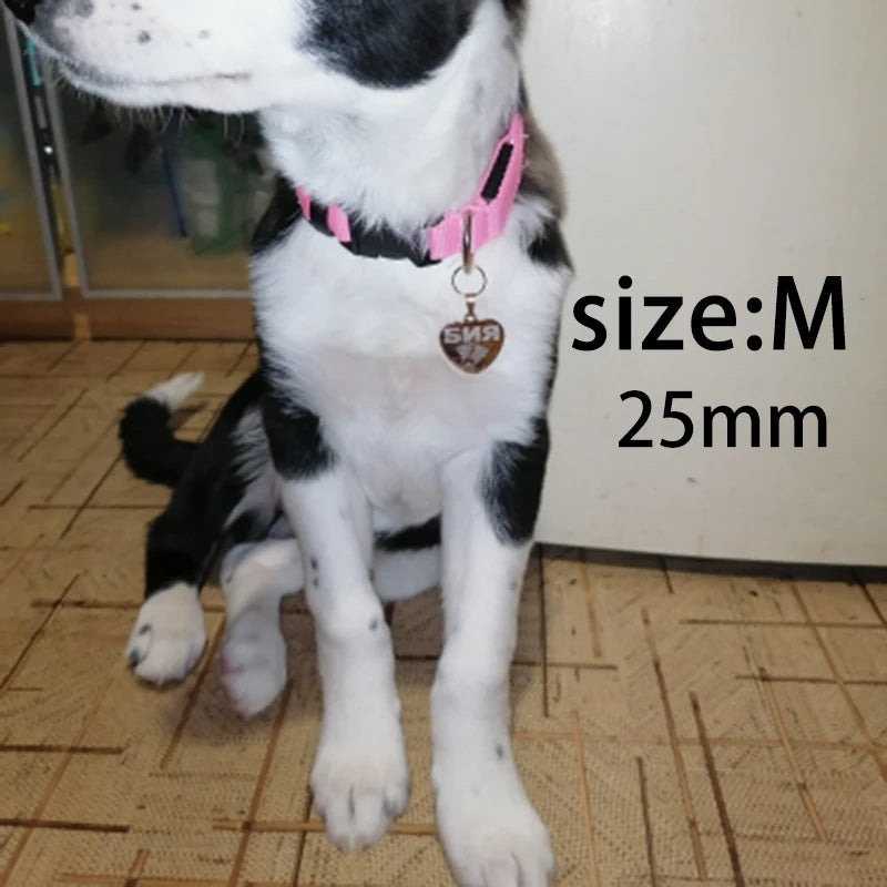 Dog ID Tag