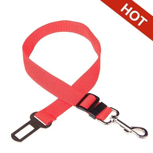 Car Seat Belt