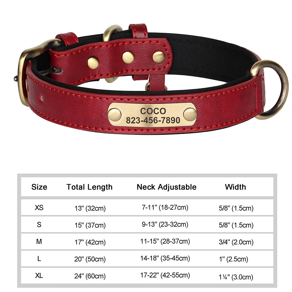 Engraved Collar
