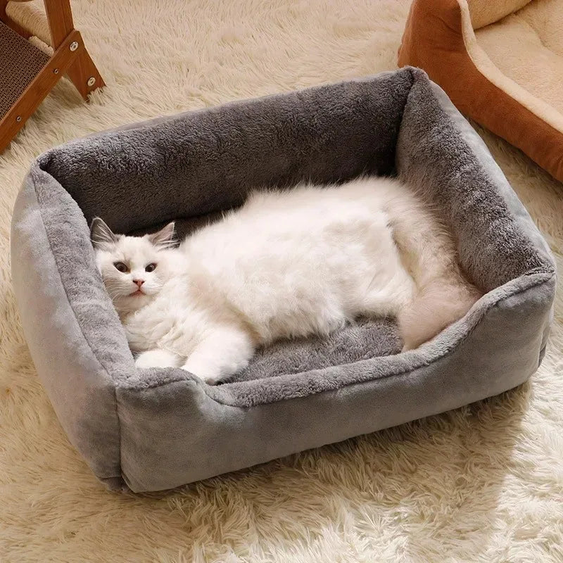 Cat Cushion