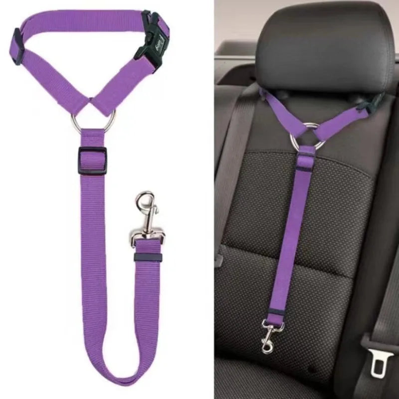 Car Harness