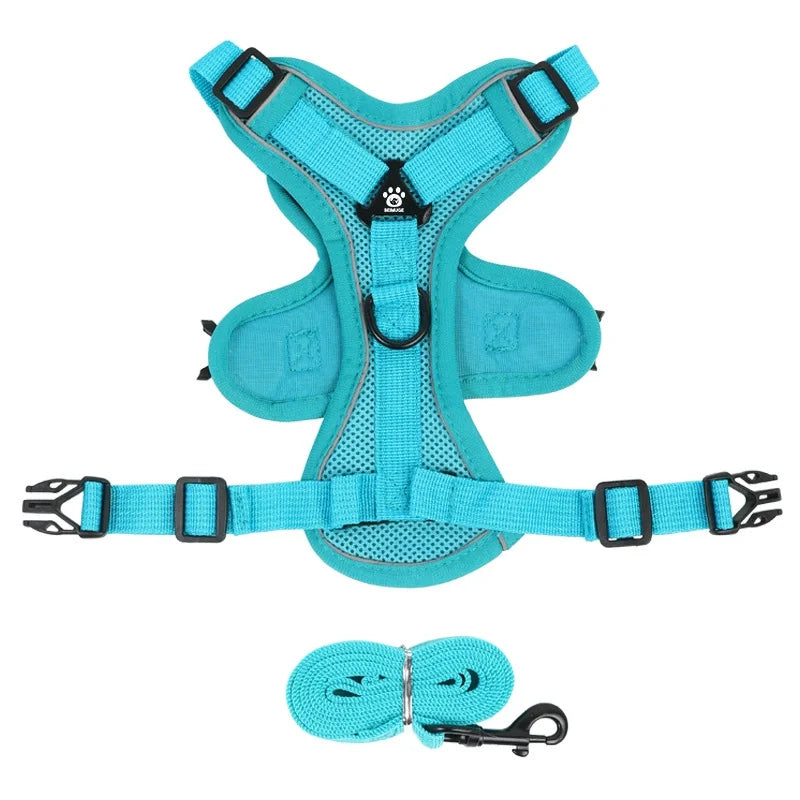 Dog Harness