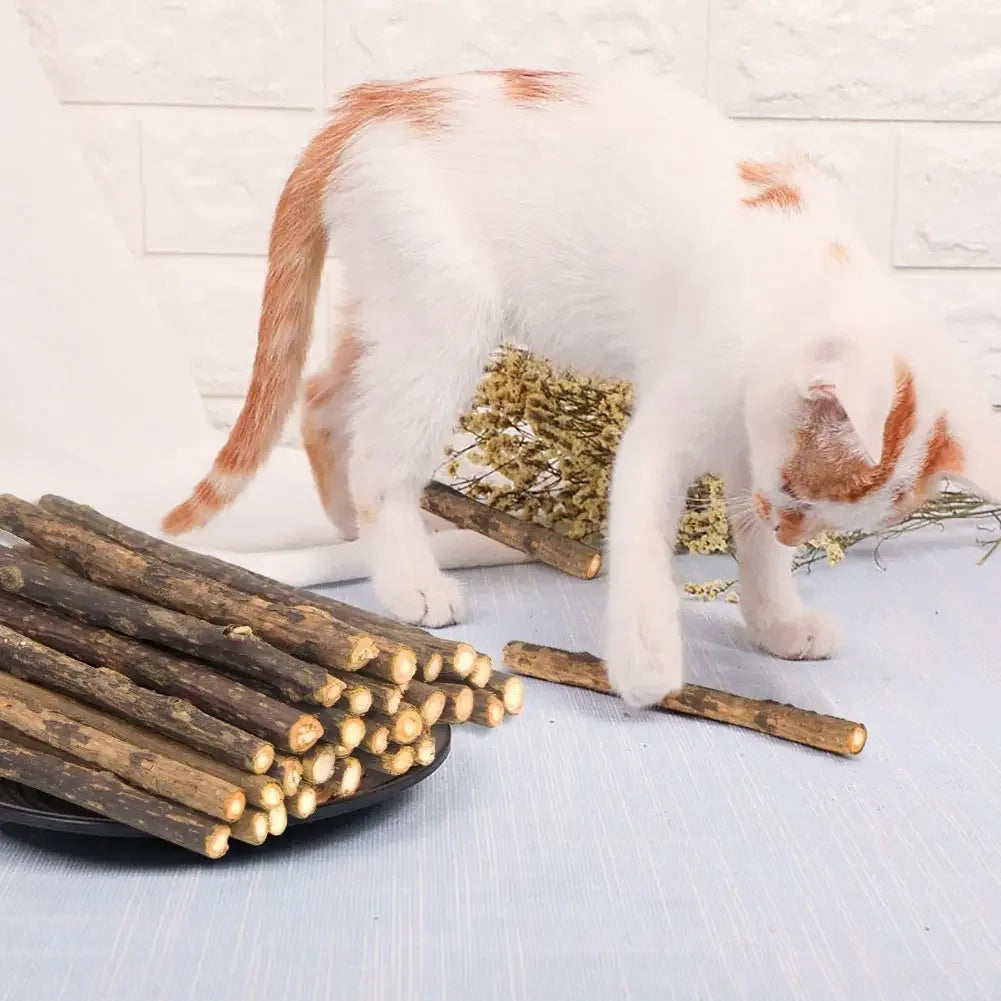 Catnip Sticks