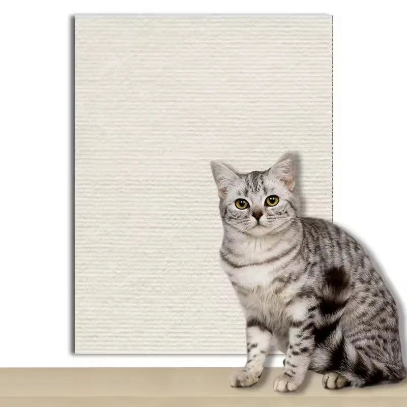 Cat Scratcher