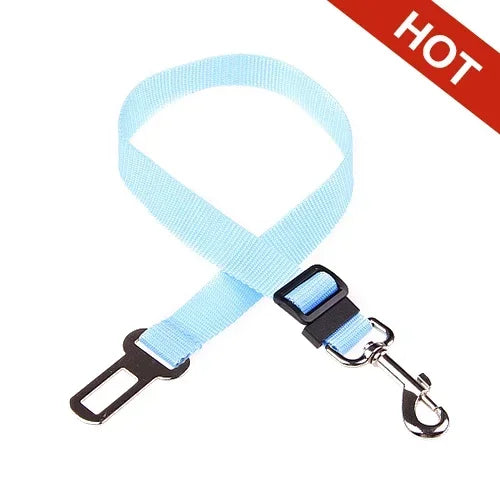 Car Seat Belt
