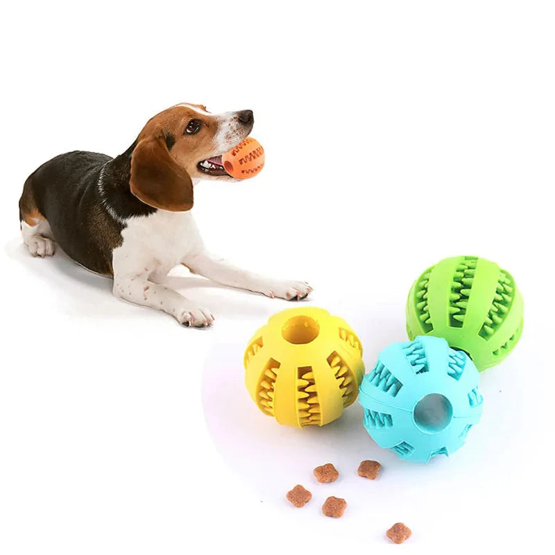 Dog Ball