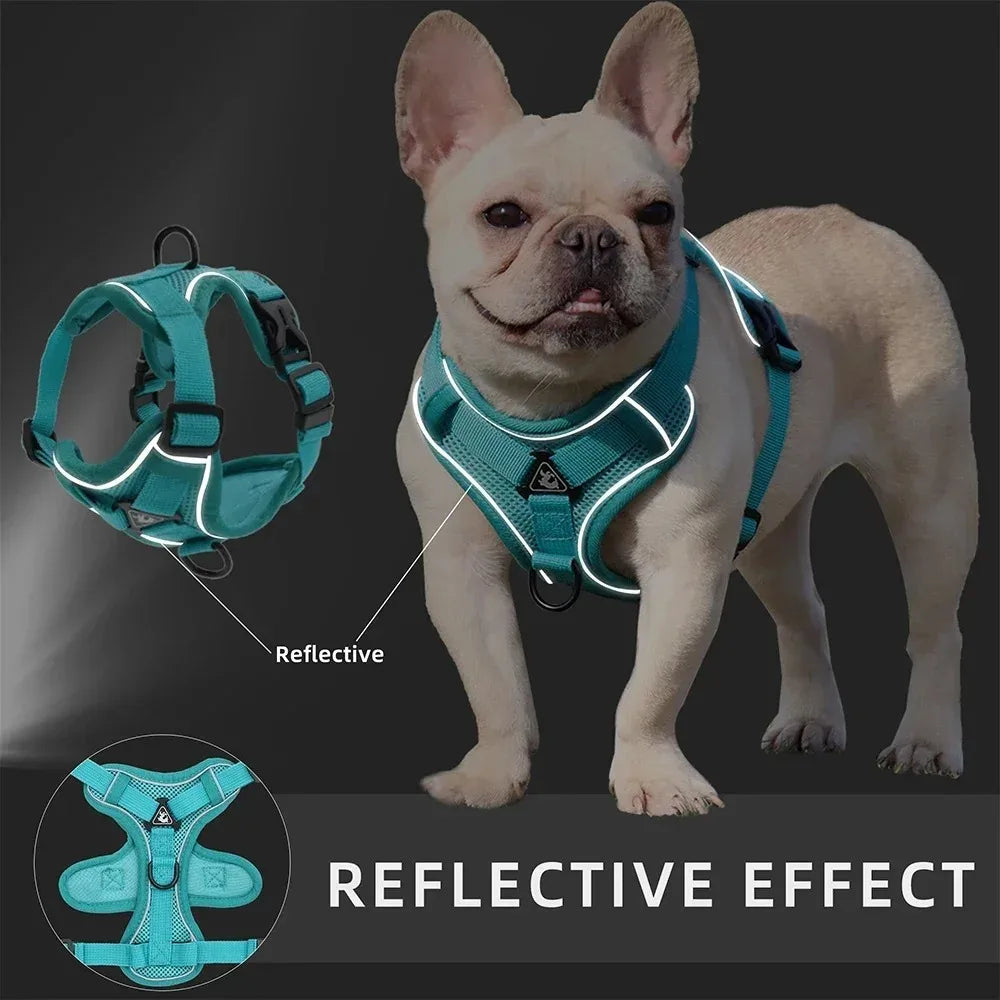 Dog Harness