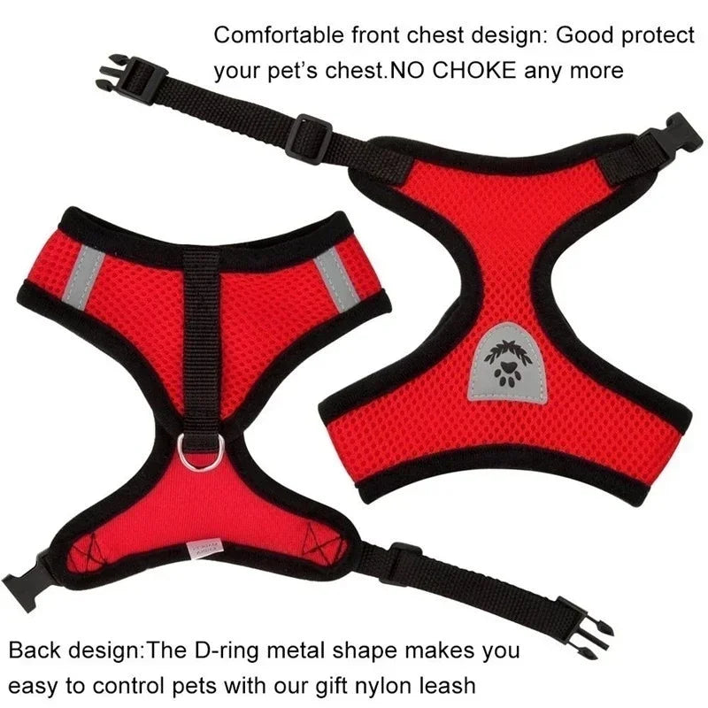 Cat Harness