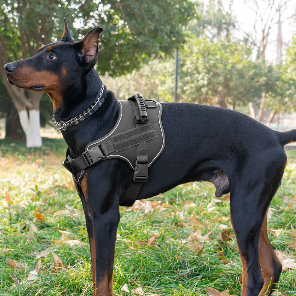 Tactical Military Vest Pet German Shepherd Golden Retriever Tactical Training Dog Accessories Dog Harness for Large Dogs