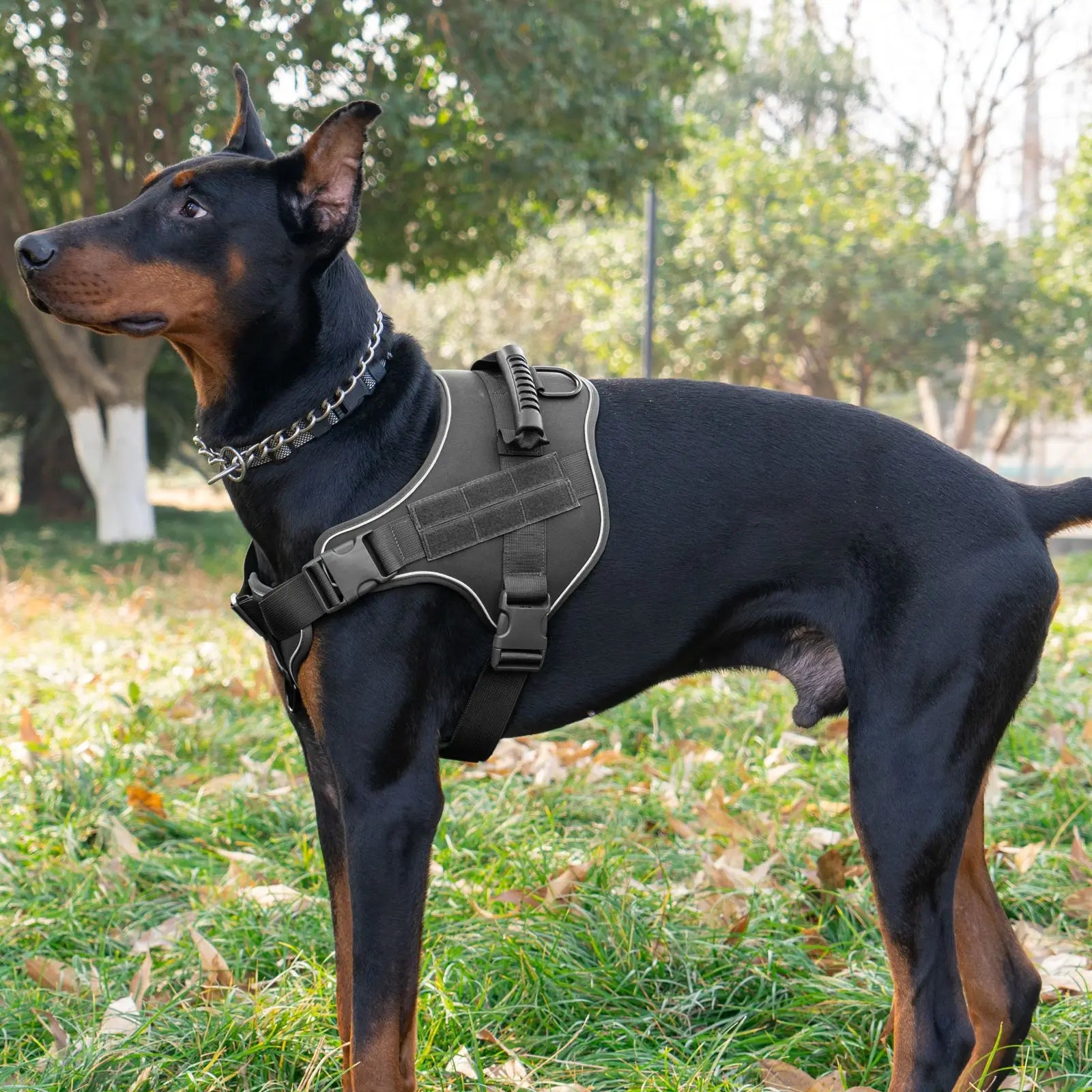 Tactical Military Vest Pet German Shepherd Golden Retriever Tactical Training Dog Accessories Dog Harness for Large Dogs