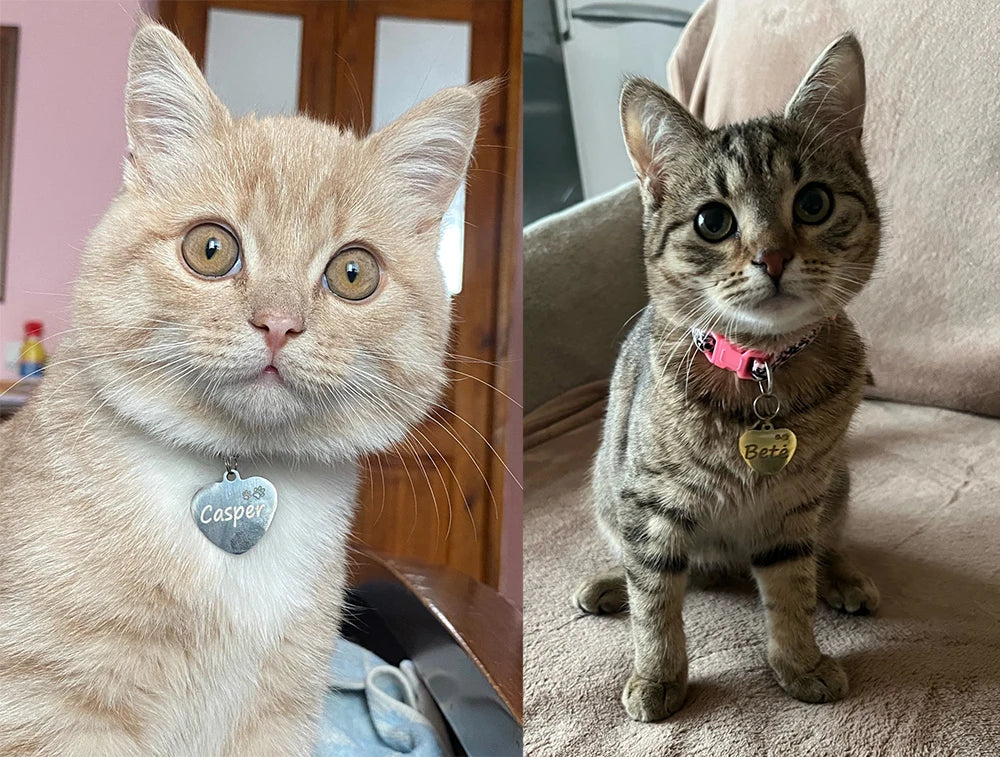 Dog ID Tag