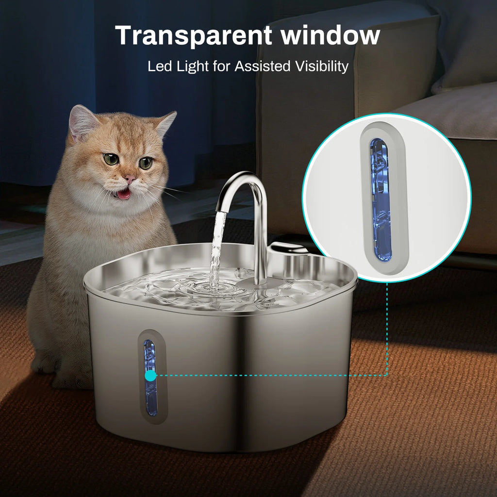 Cat Fountain