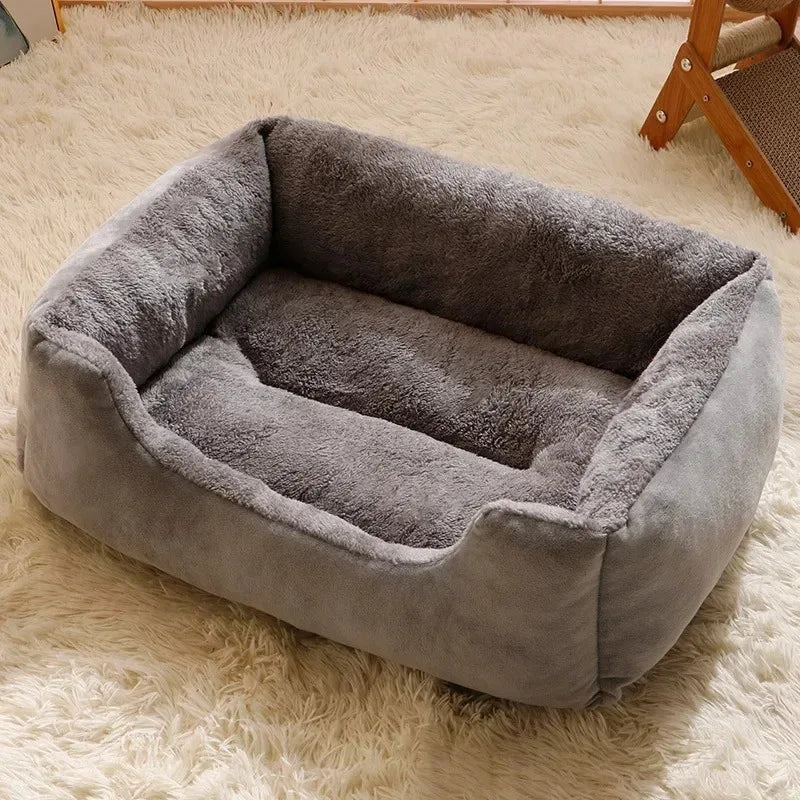 Cat Cushion
