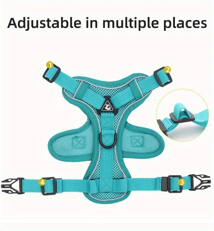 Dog Harness
