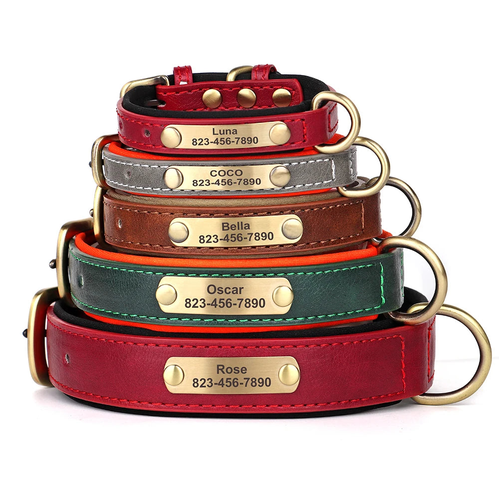 Engraved Collar