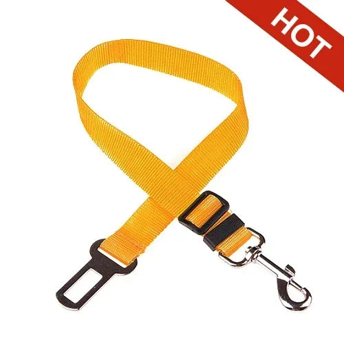 Car Seat Belt