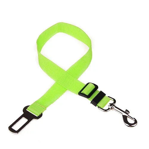 Car Seat Belt