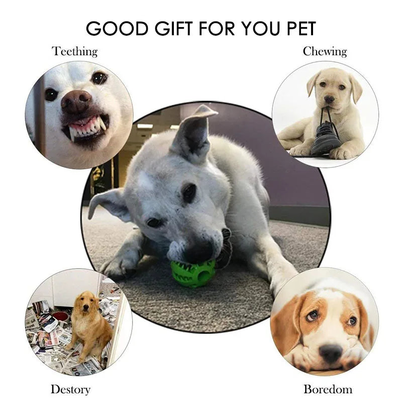 Chew Ball