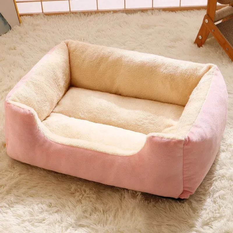Cat Cushion