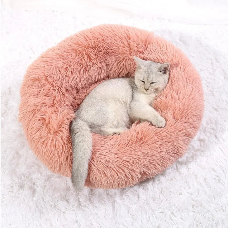 Pet Bed