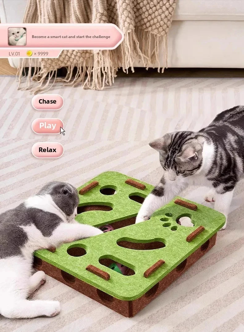 Cat Puzzle