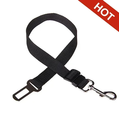 Car Seat Belt